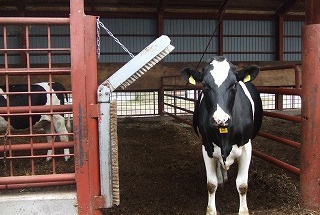 設備・備品の導入実績