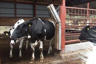 設備・備品の導入実績